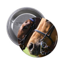 Bridled horses pins
