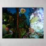 Bright and beautiful seascape poster