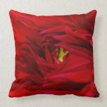 Bright and Bold Pillow