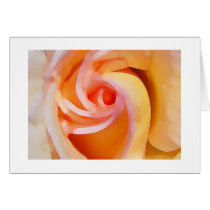 Bright and Sunny cards by ZeroToTwenty Bright and Sunny cards