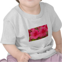Bright Azaleas Tshirts