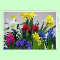 Bright & Beautiful Card 1