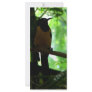 Bright Bird Full Color Rack Card
