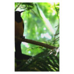 Bright Bird Custom Stationery