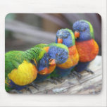 Bright Birds Mouse Pad Bright Birds Mouse Pad