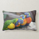 Bright Birds Pillow Bright Birds Pillow
