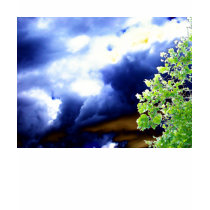 Bright Blue&Brown Storm and Glowing Foliage by KLM t-shirts by Kenny42077 Bright Blue&Brown Storm and Glowing Foliage by KLM t-shirts