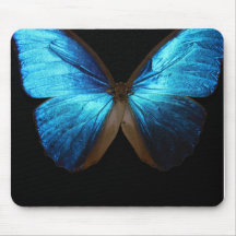Bright Blue Butterfly Mouse Pad