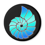 Bright Blue Nautilus Shell Magnets
