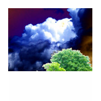 Bright Blue&White Cumulus congestus Dark Blue&Brow t-shirts by Kenny42077 Bright Blue&White Cumulus congestus Dark Blue&Brow t-shirts