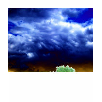 Bright Blue&White Storm Arrival and Glowing Treeto t-shirts by Kenny42077 Bright Blue&White Storm Arrival and Glowing Treeto t-shirts