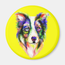 Bright Border Collie magnets