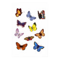 Bright Butterflies posters by Lidusik Bright Butterflies posters