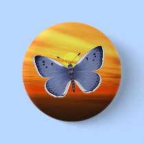 Bright Butterfly buttons