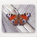bright butterfly mousepads by VioDePhoto bright butterfly mousepads