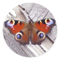 bright butterfly stickers