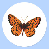 Bright Butterfly stickers