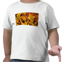 Bright colorful calla lilies at the shirt