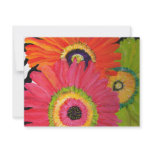 Bright &amp; Colorful Gerbera Daisies Personalized Invitation