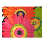 Bright & Colorful Gerbera Daisies Personalized Invitation