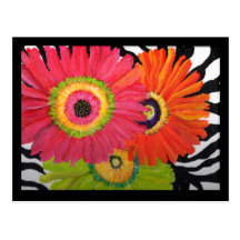 Bright & Colorful Gerbera Daisies Postcard