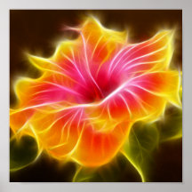 Bright Colorful Hibiscus Flower Posters