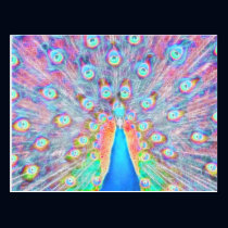 Bright Colorful *Peacock* Spirit Design postcards