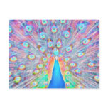 Bright Colorful *Peacock* Spirit Design Post Card