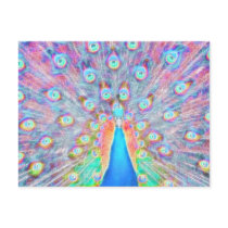 Bright Colorful *Peacock* Spirit Design Post Card