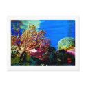 Bright Coral postcards