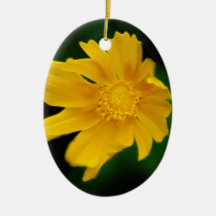Bright Coreopsis flower and meaning Ornaments