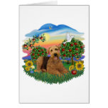 Bright Country - Aireadle #5