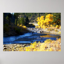 Bright Creek Poster