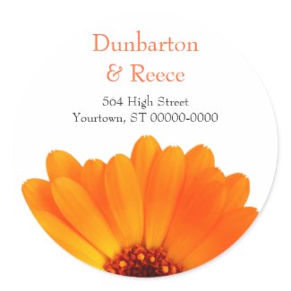 Bright daisy label sticker