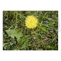 Bright Dandelion card by serenity_ii Bright Dandelion card