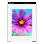 Bright Day iPad Decals