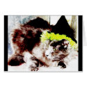 Bright Eyes cards