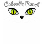 caboodle ranch, cat rescue, animal rescue,