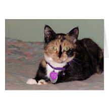Bright eyes greeting card