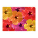 Bright flowers posters by cARTerART Bright flowers posters