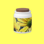 Bright Gems of Earth Candy Jar candy jars