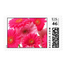Bright Gerbera Daisy Cluster postage by mamakin33 Bright Gerbera Daisy Cluster postage
