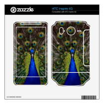 Bright girly pretty as a peacock bird photography skin for htc inspire 4g