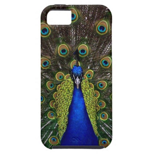 Bright girly pretty peacock bird nature animal iPhone 5 cover