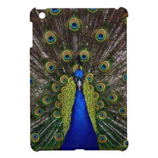 Bright girly pretty peacock bird nature photograph iPad mini cases
