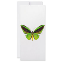 Bright Green Butterfly rack cards