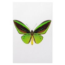 Bright Green Butterfly stationery