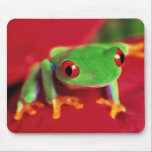 Bright Green Frog Mouse Mat Mousepad