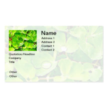 Bright Green Leaves with Raindrops Business Cards