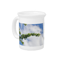 Bright healthy green leaves against sky beverage pitcher